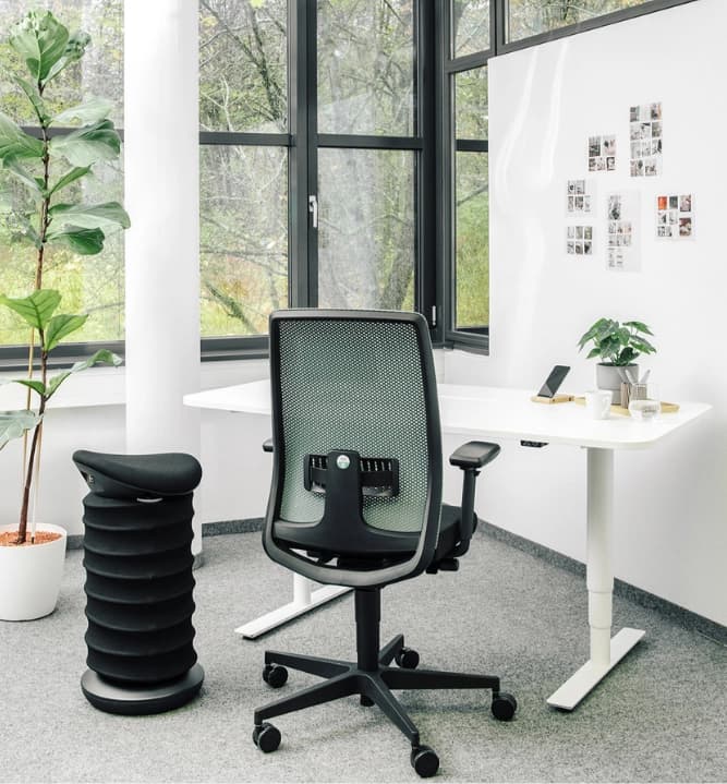 Unser neuer WorkZen Enso